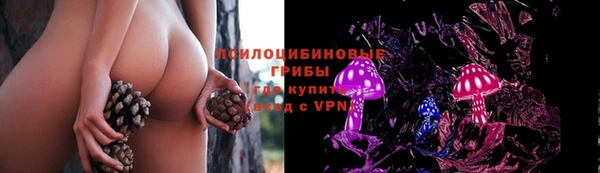 альфа пвп Усмань